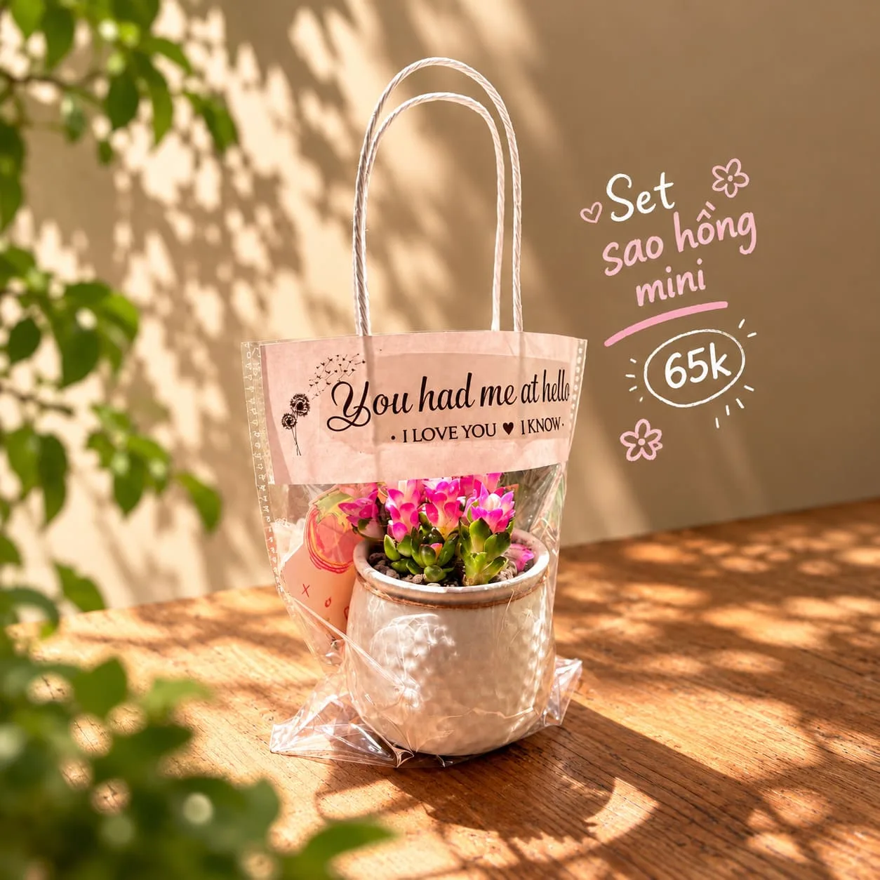Set sao hồng mini